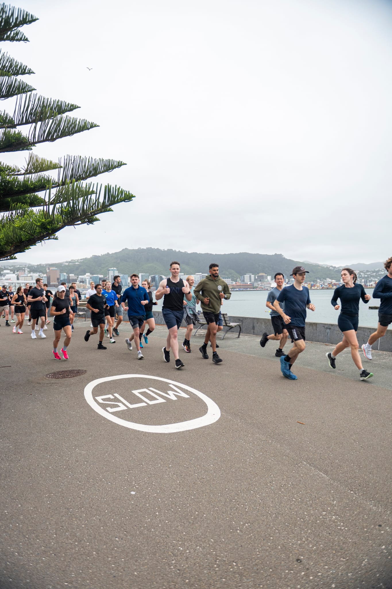A community group running together along the Wellington waterfront